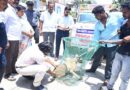 Anti-rabies vaccinations for stray dogs-Commissioner Vikas