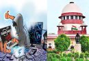 Downloading, viewing of porn videos fall under POCSO Act: Supreme Court