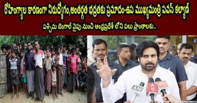 Rohingyas cause unemployment,internal security threat-Pawan Kalyan